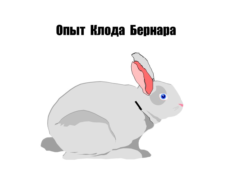 Опыт  Клода  Бернара